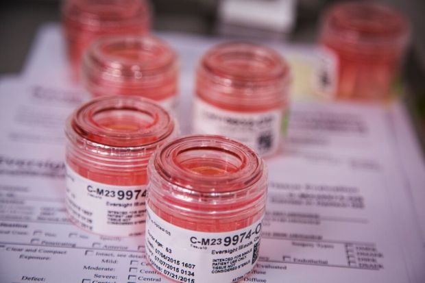 425n1FDkle3F6IGg7R18dT7OiBnd6NSVRYrcGv8M7eY,3b9BvQ3wSpmNVkcvsAB_VWOIjnLIax8mMmK145pV_zo